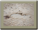 Footprint